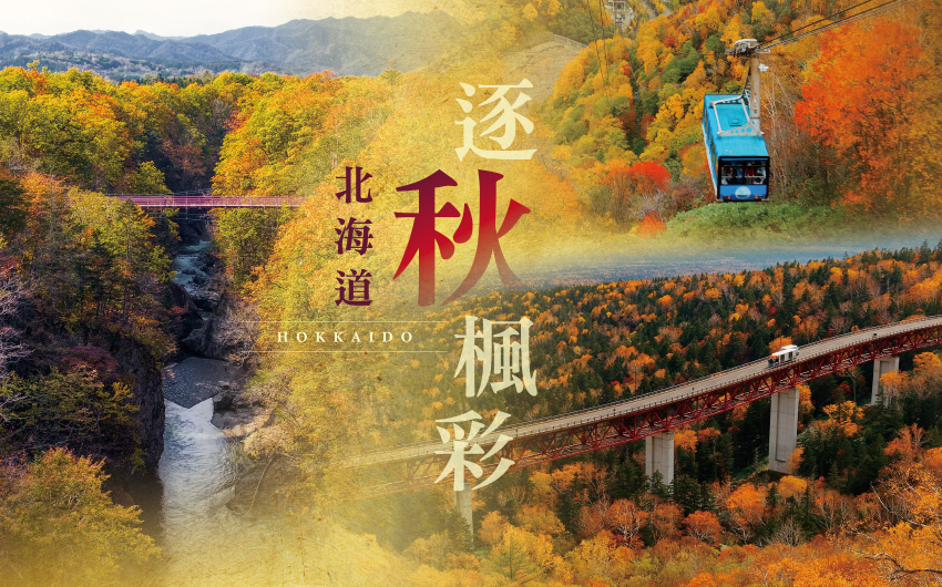 逐秋楓彩北海道５日